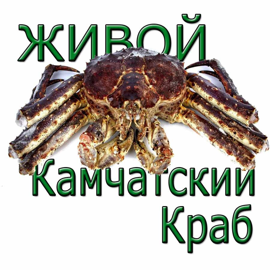 Камчатский Краб Купить Живой С Доставкой